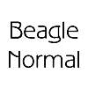Thumbnail Beagle Normal