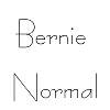 Thumbnail Bernie  Normal