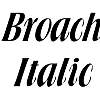 Thumbnail Broach Italic