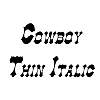 Thumbnail CowboyThin Italic Thumbnail CowboyThin Italic