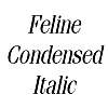 Thumbnail FelineCondensed Italic
