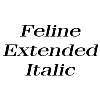 Thumbnail FelineExtended Italic