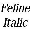 Thumbnail Feline Italic