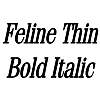 Thumbnail FelineThin BoldItalic