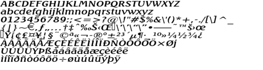 Product picture BeachExtended Italic