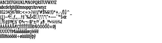 Product picture BeachThin Bold