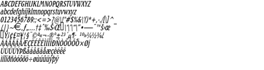 Product picture BeachThin Italic