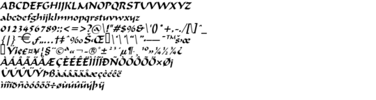 Product picture FlatBrushWide Italic