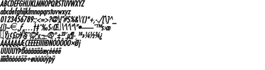 Product picture Fuji BoldItalic