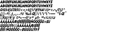 Product picture IndyThin Italic